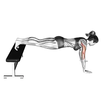 Decline Push Up