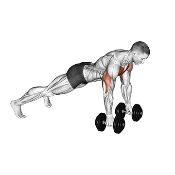 Deep Push Up - Exclusive get you ultimate Strength for Pectoralis from X health blend   Animated Exercise  Library