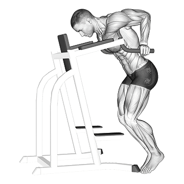 Dip Hold - Exclusive get you ultimate Strength for Deltoids (Anterior) from X health blend   Animated Exercise  Library