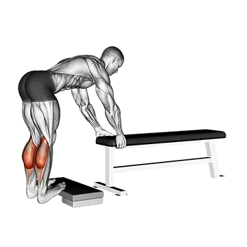 Donkey Calf Raise - Exclusive get you ultimate Strength for Gastrocnemius from X health blend   Animated Exercise  Library