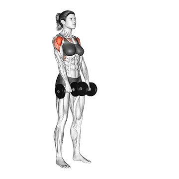 Dumbbell Alternate Front Raise - Exclusive get you ultimate Strength for Deltoids (Anterior) from X health blend   Animated Exercise  Library