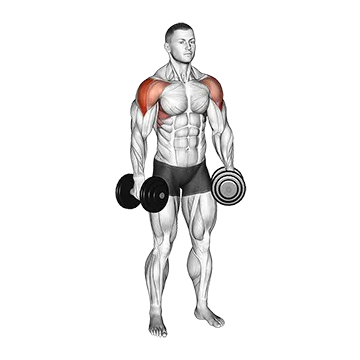 Dumbbell Alternate Lateral Raise - Exclusive get you ultimate Strength for Deltoids (Lateral) from X health blend   Animated Exercise  Library