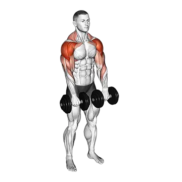 Dumbbell Archer