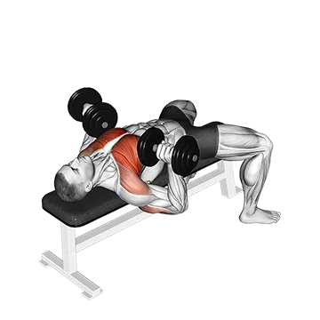 Dumbbell Bench Press