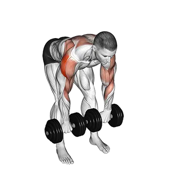 Dumbbell Bent Over Face Pull