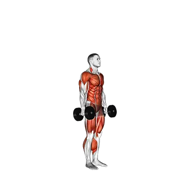 Dumbbell Burpee
