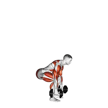 Dumbbell Clean