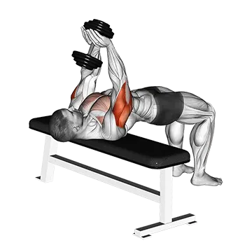 Dumbbell Close Grip Press - Exclusive get you ultimate Strength for Pectoralis from X health blend   Animated Exercise  Library