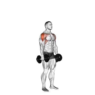 Dumbbell Cuban Press - Exclusive get you ultimate Strength for Deltoids