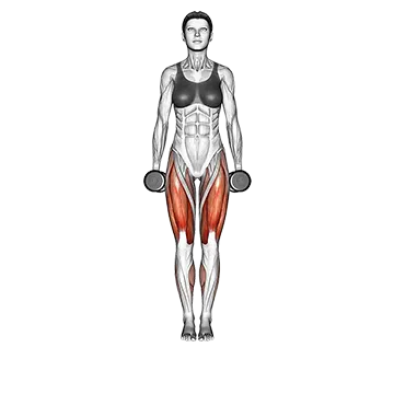 Dumbbell Curtsey Lunge - Exclusive get you ultimate Strength for Quadriceps