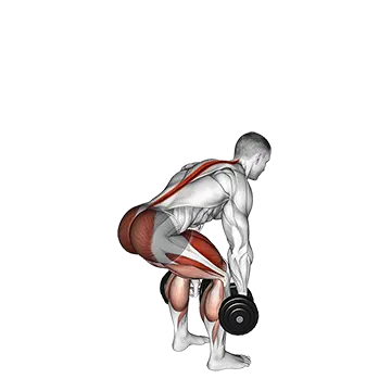 Dumbbell Deadlift - Exclusive get you ultimate Strength for Hamstrings