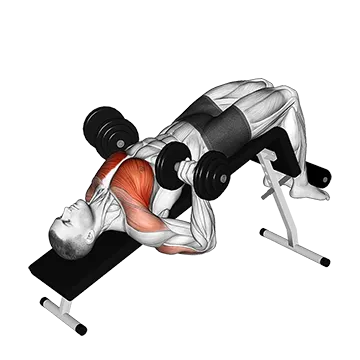 Dumbbell Decline Bench Press - Exclusive get you ultimate Strength for Pectoralis from X health blend   Animated Exercise  Library