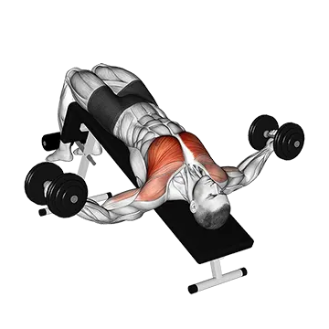 Dumbbell Decline Fly - Exclusive get you ultimate Strength for Pectoralis from X health blend   Animated Exercise  Library