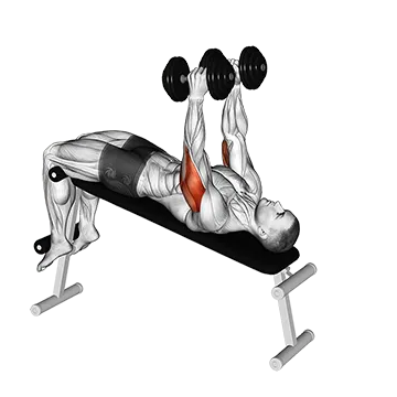 Dumbbell Decline Triceps Extension