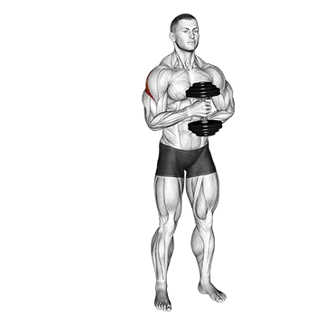Dumbbell External Rotation