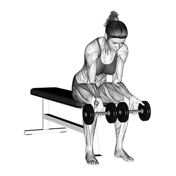 Dumbbell Finger Curls - Exclusive get you ultimate Strength for Forearms Flexors from X health blend   Animated Exercise  Library