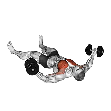 Dumbbell Floor Fly