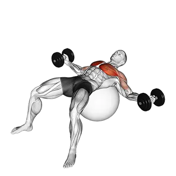 Dumbbell Fly on Exercise Ball
