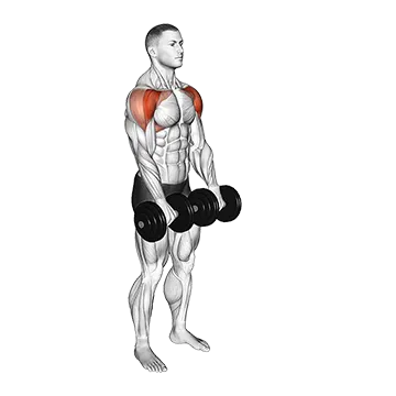 Dumbbell Front Raise