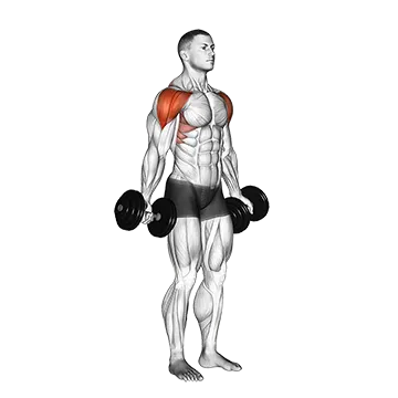 Dumbbell Full Can Lateral Raise