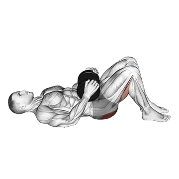 Dumbbell Glute Bridge - Exclusive get you ultimate Strength for Gluteus Maximus