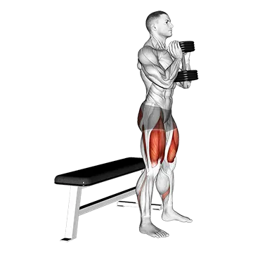 Dumbbell Goblet Box Squat