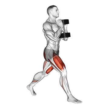 Dumbbell Goblet Split Squat - Exclusive get you ultimate Strength for Quadriceps