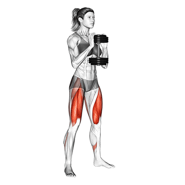 Dumbbell Goblet Squat
