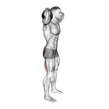 Dumbbell Good Morning - Exclusive get you ultimate Strength for Hamstrings