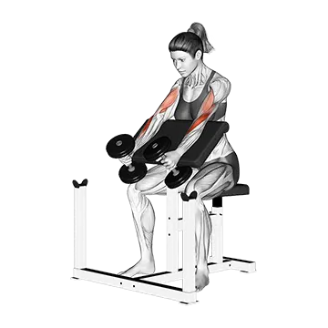 Dumbbell Hammer Preacher Curl