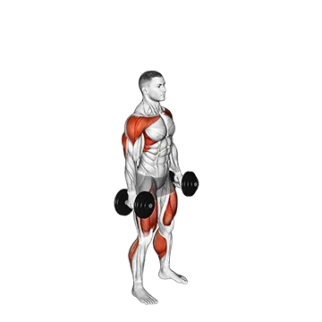 Dumbbell Hang Clean and Jerk - Exclusive get you ultimate Strength for Deltoids
