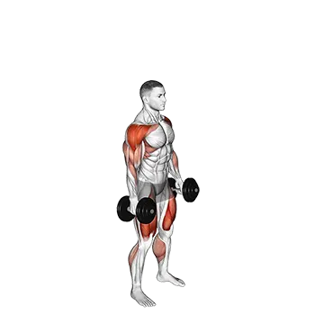 Dumbbell Hang Power Clean and Jerk - Exclusive get you ultimate Strength for Deltoids