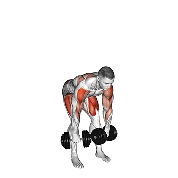 Dumbbell High Pull