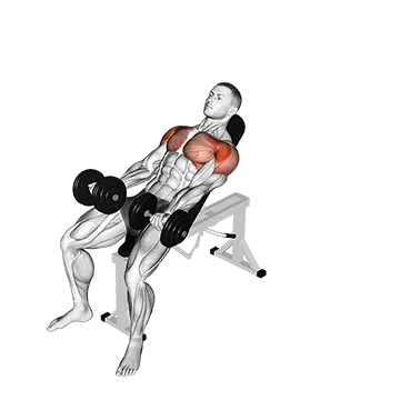 Dumbbell Incline Around the World - Exclusive get you ultimate Strength for Deltoids from X health blend   Animated Exercise  Library