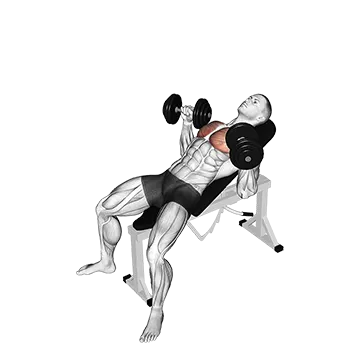 Dumbbell Incline Bench Press