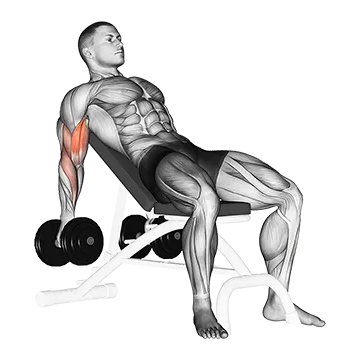 Dumbbell Incline Biceps Curl - Exclusive get you ultimate Strength for Biceps from X health blend   Animated Exercise  Library