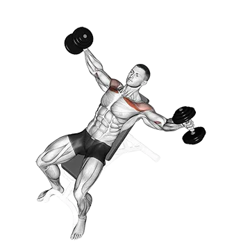 Dumbbell Incline Breeding - Exclusive get you ultimate Strength for Deltoids from X health blend   Animated Exercise  Library
