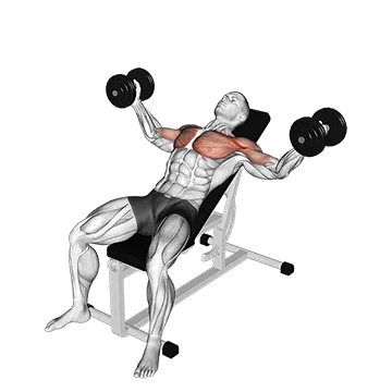 Dumbbell Incline Fly - Exclusive get you ultimate Strength for Pectoralis from X health blend   Animated Exercise  Library
