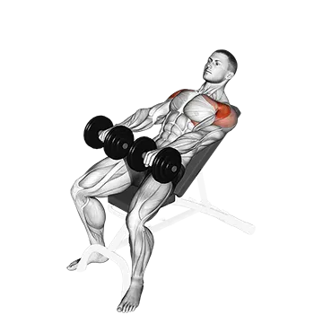 Dumbbell Incline Front Raise