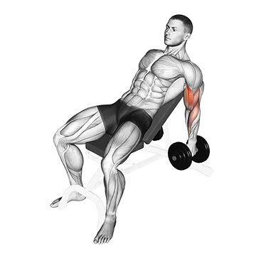 Dumbbell Incline Hammer Curl - Exclusive get you ultimate Strength for Biceps from X health blend   Animated Exercise  Library