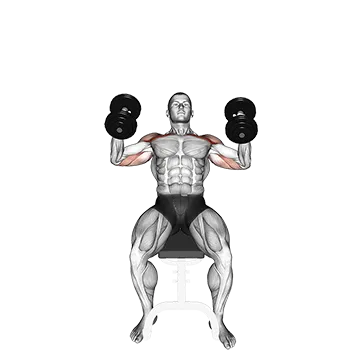 Dumbbell Incline Hammer Press
