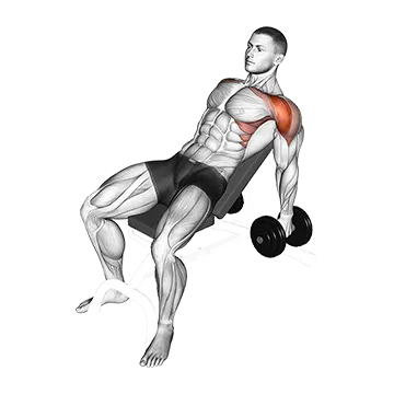 Dumbbell Incline Raise