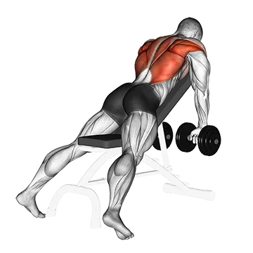 Dumbbell Incline Row