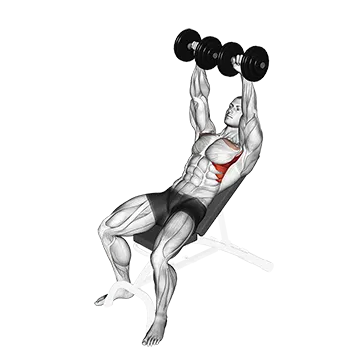 Dumbbell Incline Shoulder Raise - Exclusive get you ultimate Strength for Deltoids from X health blend   Animated Exercise  Library