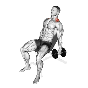 Dumbbell Incline Shrug - Exclusive get you ultimate Strength for Traps from X health blend   Animated Exercise  Library