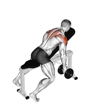 Dumbbell Incline T Raise - Exclusive get you ultimate Strength for Deltoids from X health blend   Animated Exercise  Library