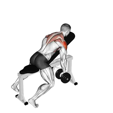 Dumbbell Incline Y Raise - Exclusive get you ultimate Strength for Posterior Deltoids from X health blend   Animated Exercise  Library