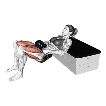 Dumbbell Kneeling Glute Bridge - Exclusive get you ultimate Strength for Gluteus Maximus from X health blend   Animated Exercise  Library