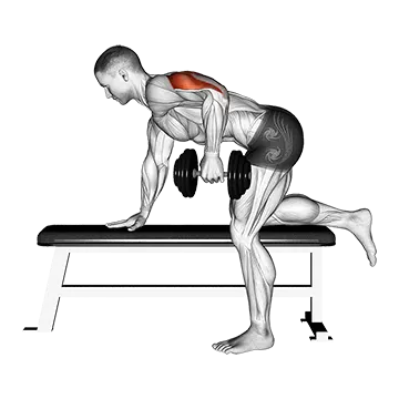 Dumbbell Kickback - Exclusive get you ultimate Strength for Triceps Brachii from X health blend   Animated Exercise  Library