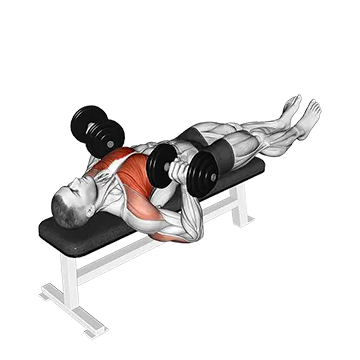 Dumbbell Larsen Press - Exclusive get you ultimate Strength for Anterior Deltoids from X health blend   Animated Exercise  Library